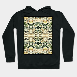 Butterfly Pattern made from Butterflies by Adolphe Millot Hoodie